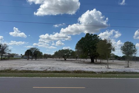 Commercial property in Okeechobee, Florida № 2146116 - photo 4