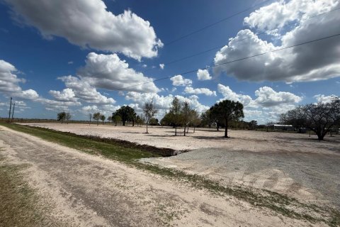 Commercial property in Okeechobee, Florida № 2146116 - photo 3