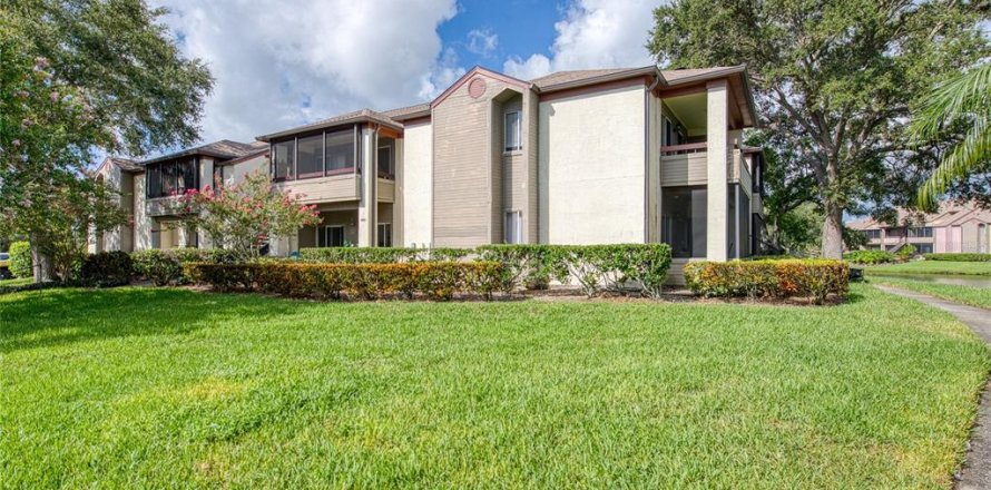 Condo in Saint Petersburg, Florida, 1 bedroom  № 1876241