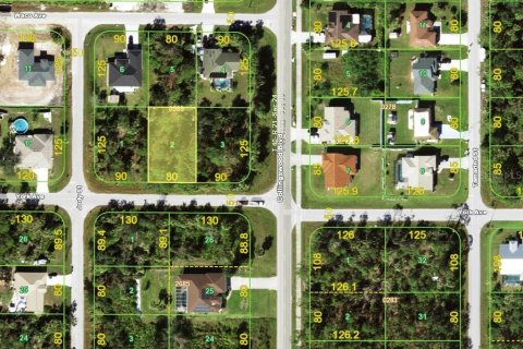Land in Port Charlotte, Florida № 2160296 - photo 3