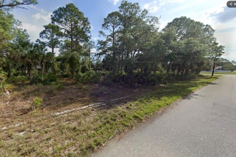 Land in Port Charlotte, Florida № 2160296 - photo 2