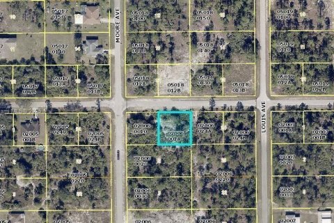 Terreno en Lehigh Acres, Florida № 2204318
