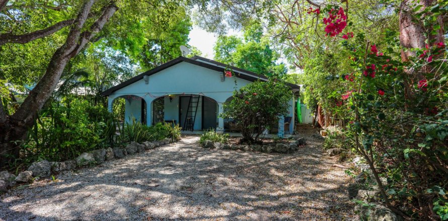Immobilier commercial à Tavernier, Floride 169.45 m2 № 2083454