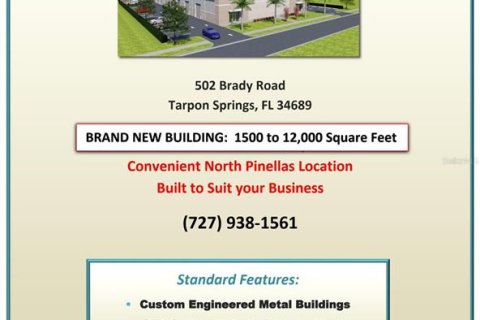 Propiedad comercial en alquiler en Tarpon Springs, Florida № 1909383 - foto 5