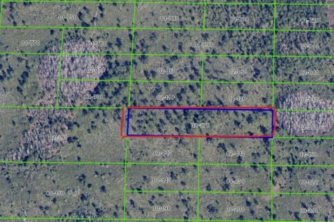 Land in Orlando, Florida № 2161553 - photo 2