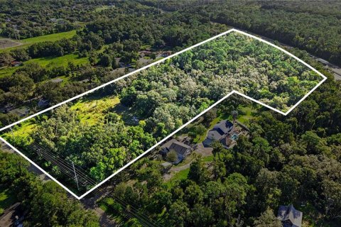 Land in Lutz, Florida № 2339267