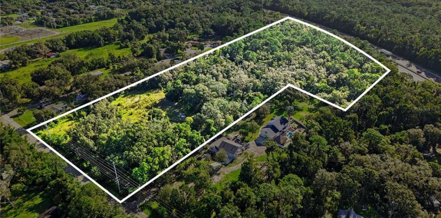 Land in Lutz, Florida № 2339267