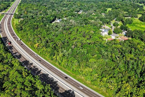 Land in Lutz, Florida № 2339267 - photo 20