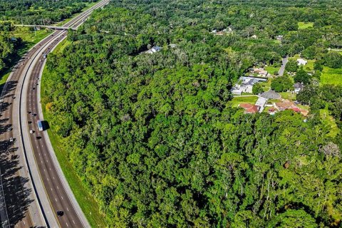 Land in Lutz, Florida № 2339267 - photo 17