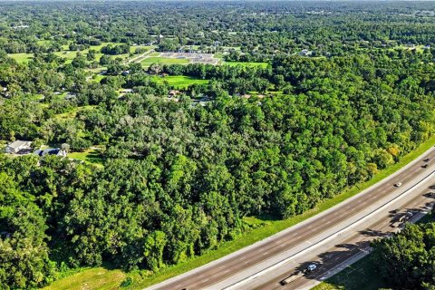 Land in Lutz, Florida № 2339267 - photo 15