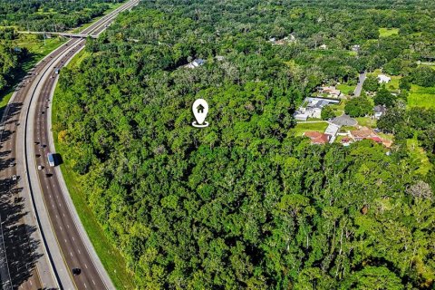 Land in Lutz, Florida № 2339267 - photo 8