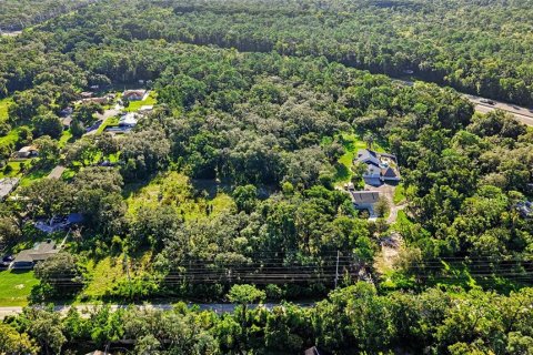 Land in Lutz, Florida № 2339267 - photo 12