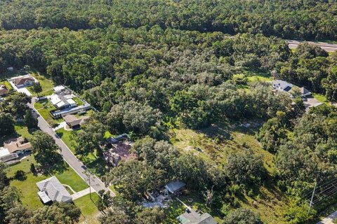 Land in Lutz, Florida № 2339267 - photo 5