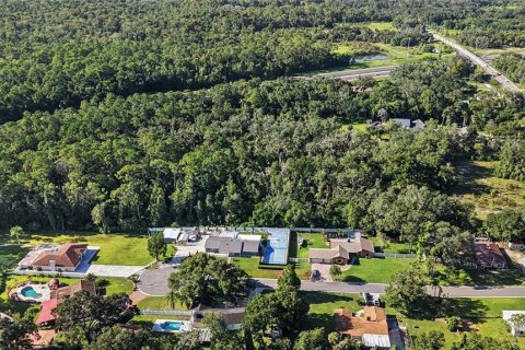 Land in Lutz, Florida № 2339267 - photo 6