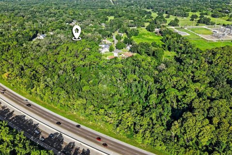 Land in Lutz, Florida № 2339267 - photo 7