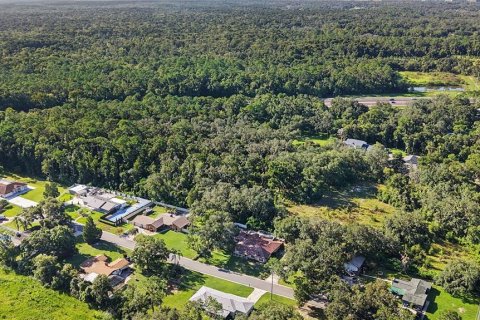 Land in Lutz, Florida № 2339267 - photo 2