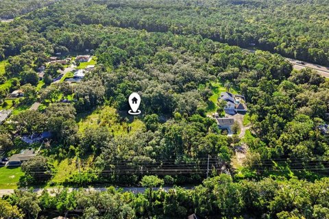Land in Lutz, Florida № 2339267 - photo 9