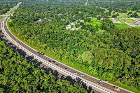 Land in Lutz, Florida № 2339267 - photo 19