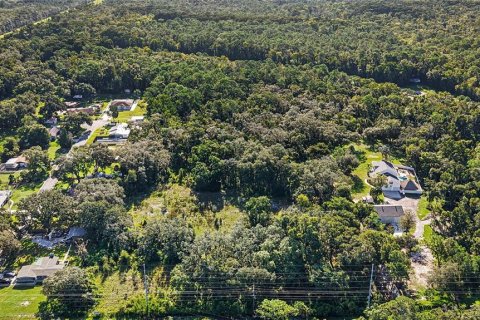 Land in Lutz, Florida № 2339267 - photo 3