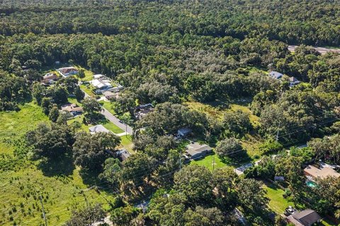 Land in Lutz, Florida № 2339267 - photo 4