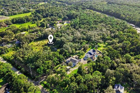 Land in Lutz, Florida № 2339267 - photo 10