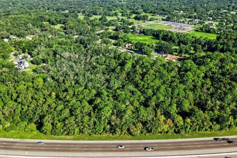 Land in Lutz, Florida № 2339267 - photo 16