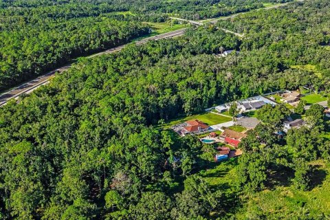 Land in Lutz, Florida № 2339267 - photo 11