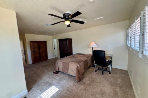 Appartement à louer à Tarpon Springs, Floride: 1 chambre, 65.03 m2 № 2147875 - photo 15
