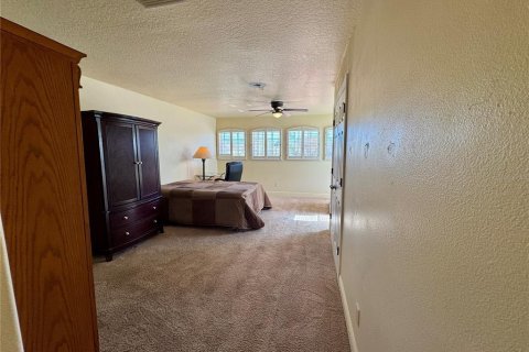 Appartement à louer à Tarpon Springs, Floride: 1 chambre, 65.03 m2 № 2147875 - photo 12