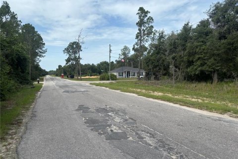Terreno en Ocklawaha, Florida № 2216287