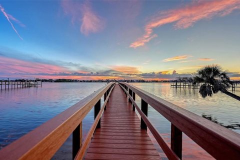 Villa ou maison à vendre à Nokomis, Floride: 4 chambres, 566.8 m2 № 2432657 - photo 6