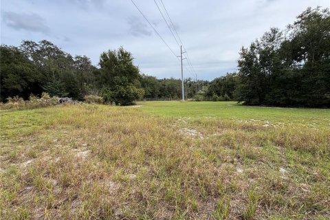 Terrain à vendre à Apopka, Floride № 2128631 - photo 7