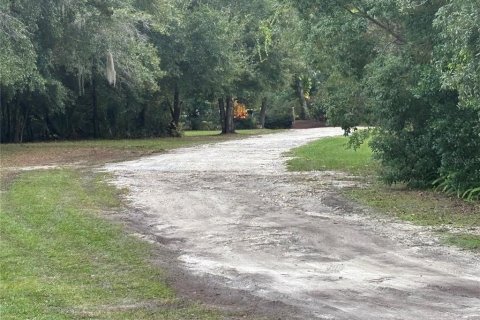 Terrain à vendre à Apopka, Floride № 2128631 - photo 20