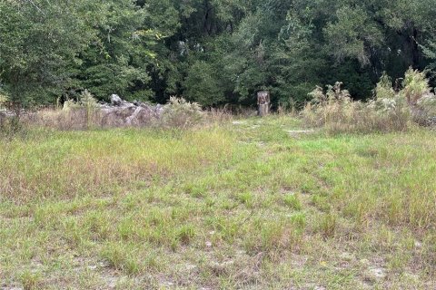Terrain à vendre à Apopka, Floride № 2128631 - photo 6
