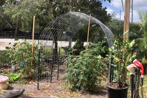 Casa en venta en Odessa, Florida, 3 dormitorios, 220.36 m2 № 2200674 - foto 7