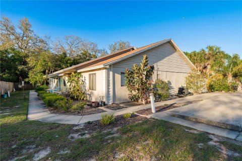 Villa ou maison à louer à Tarpon Springs, Floride: 2 chambres, 103.4 m2 № 2425607 - photo 30