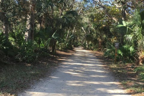 Terreno en venta en Palm Coast, Florida № 955604 - foto 5