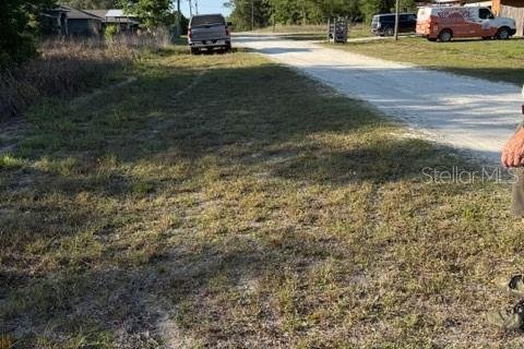 Terrain à vendre à Ocala, Floride № 2159699 - photo 2