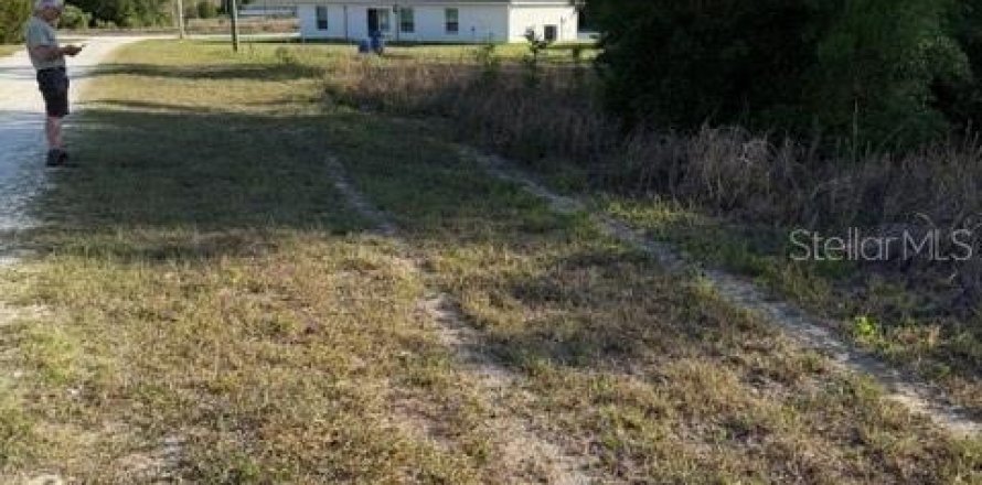 Terrain à Ocala, Floride № 2159699