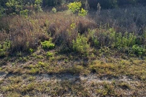 Terrain à vendre à Ocala, Floride № 2159699 - photo 3