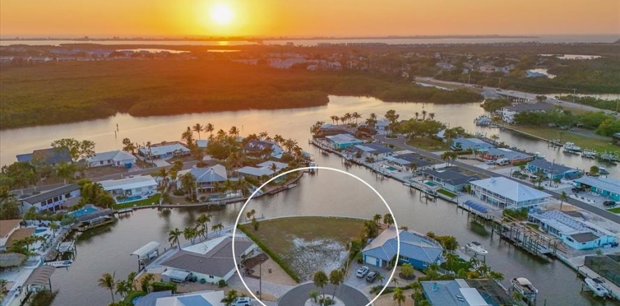 Terrain à Bradenton, Floride № 2139470