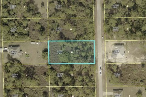 Land in Lehigh Acres, Florida № 2163426 - photo 3