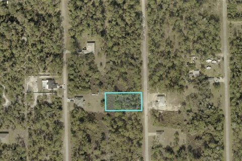 Land in Lehigh Acres, Florida № 2163426 - photo 4