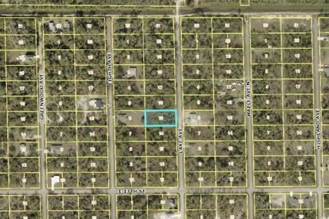 Land in Lehigh Acres, Florida № 2163426 - photo 5