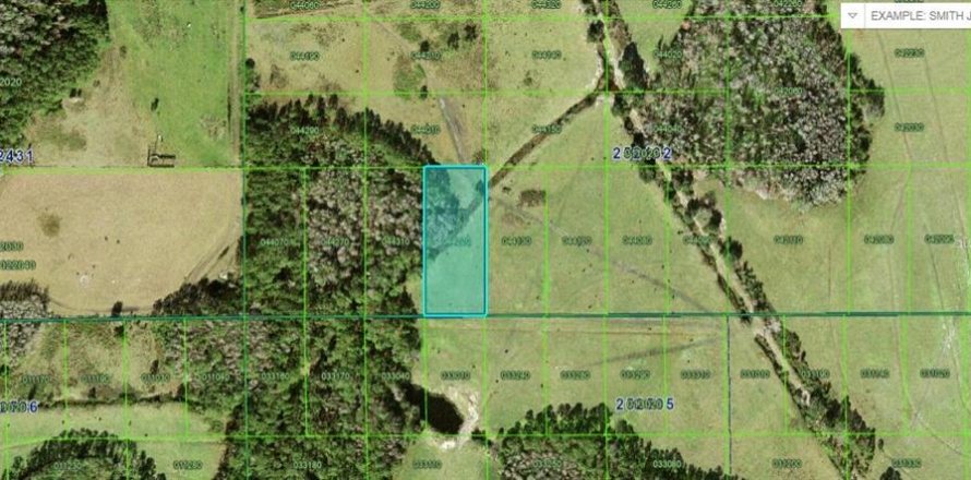 Terrain à Polk City, Floride № 2235132