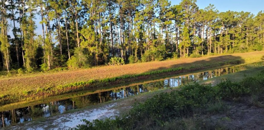 Land in Orlando, Florida № 1876971