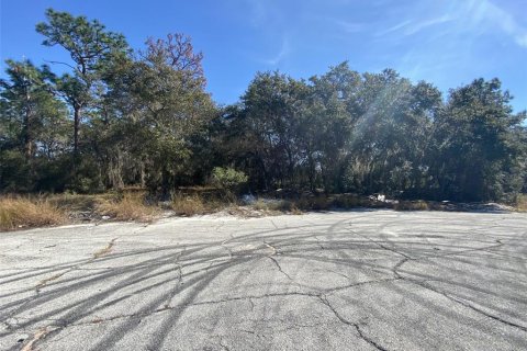Land in Kissimmee, Florida № 2161666 - photo 7