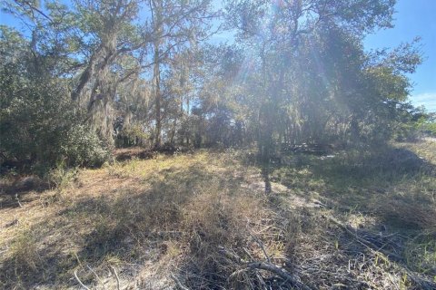 Land in Kissimmee, Florida № 2161666