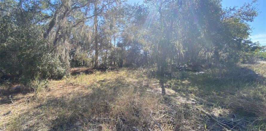 Land in Kissimmee, Florida № 2161666