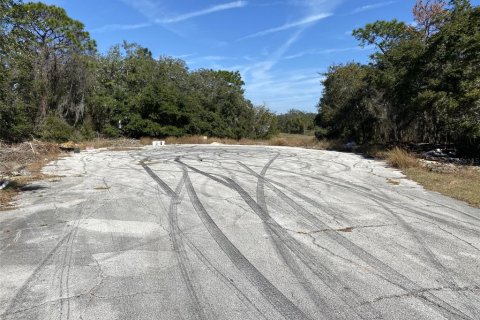Land in Kissimmee, Florida № 2161666 - photo 10